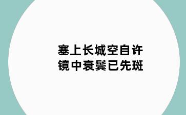 塞上长城空自许 镜中衰鬓已先斑